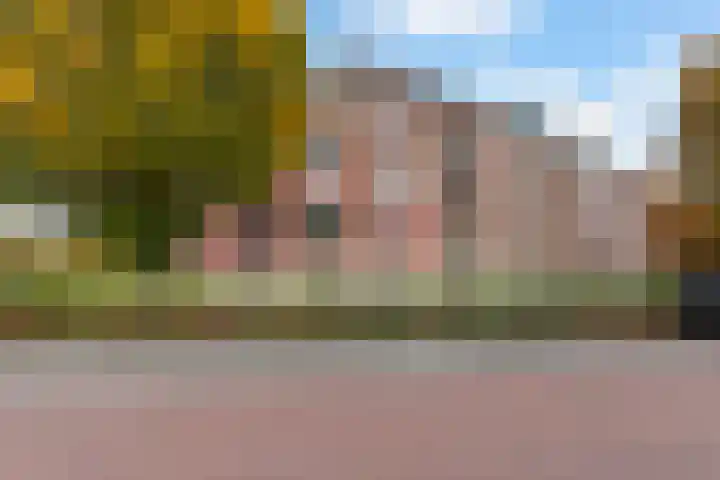 Molenpad 20 Boxtel thumbnail 5