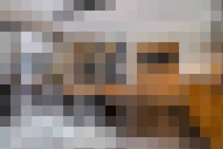 Molenpad 3 Steensel thumbnail 16