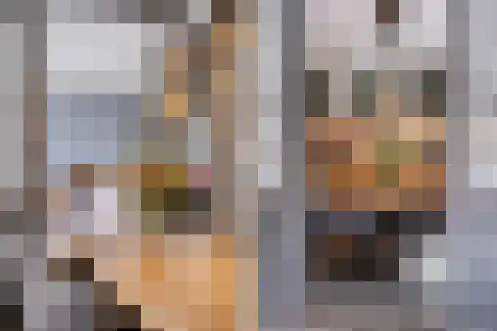 Molenpad 3 Steensel thumbnail 17