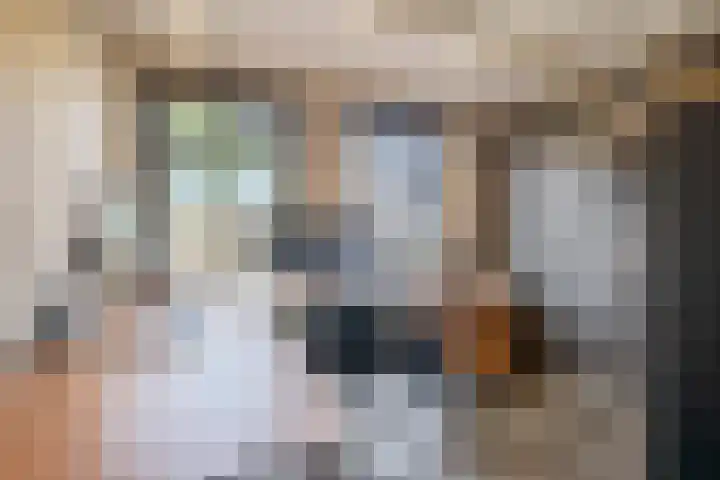 Molenpad 3 Steensel thumbnail 20