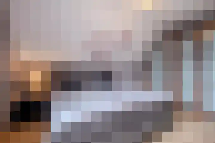 Molenpad 3 Steensel thumbnail 34
