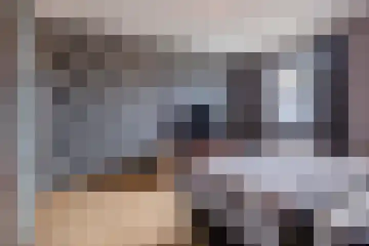 Molenpad 3 Steensel thumbnail 35