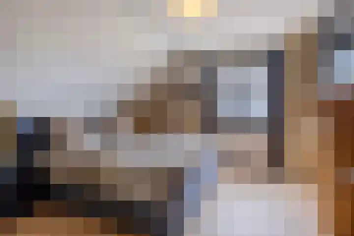 Molenpad 3 Steensel thumbnail 36