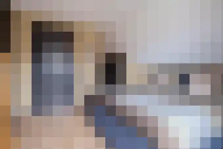 Molenpad 3 Steensel thumbnail 37