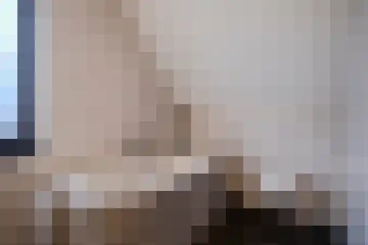 Molenpad 3 Steensel thumbnail 39