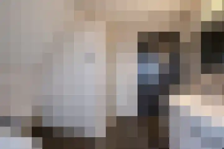 Molenpad 3 Steensel thumbnail 40