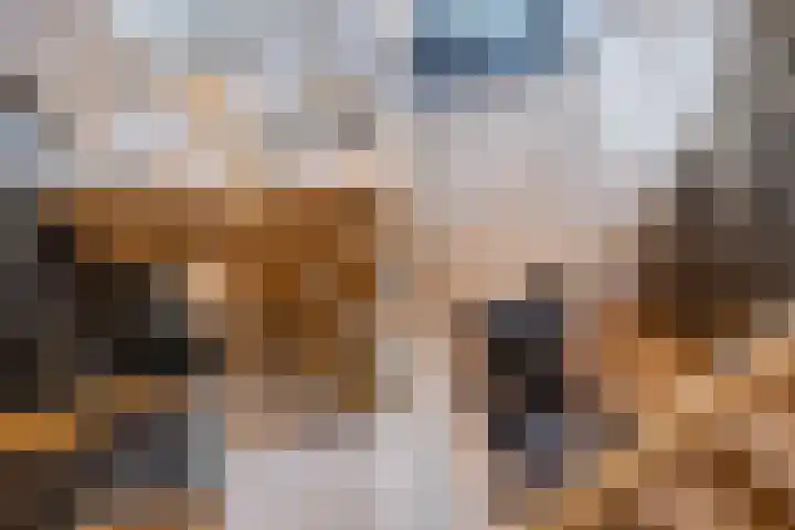 Molenpad 3 Steensel thumbnail 43