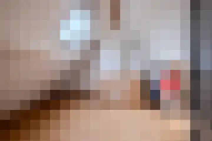 Molenpad 3 Steensel thumbnail 45