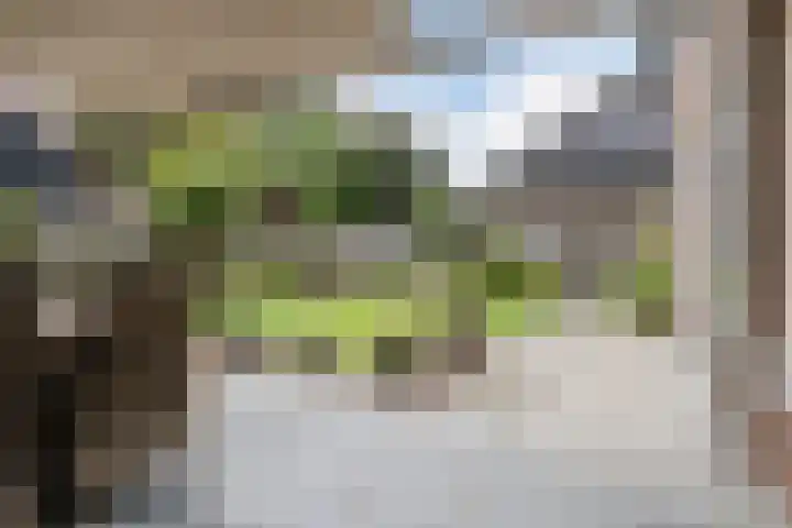 Molenpad 3 Steensel thumbnail 48