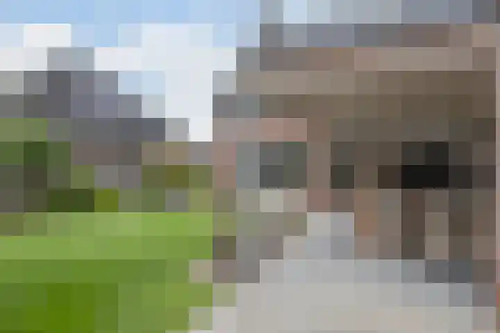 Molenpad 3 Steensel thumbnail 49