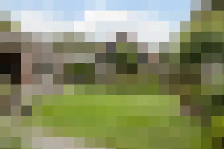 Molenpad 3 Steensel thumbnail 52