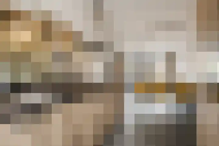 Molenpad 31 Steensel thumbnail 10