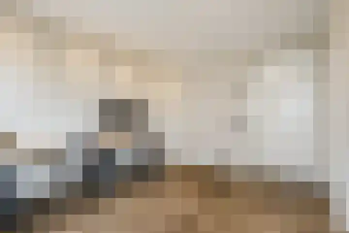 Molenpad 31 Steensel thumbnail 13