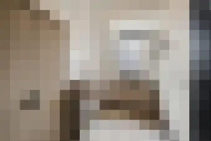 Molenpad 31 Steensel thumbnail 17