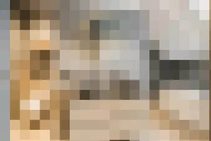 Molenpad 31 Steensel thumbnail 21