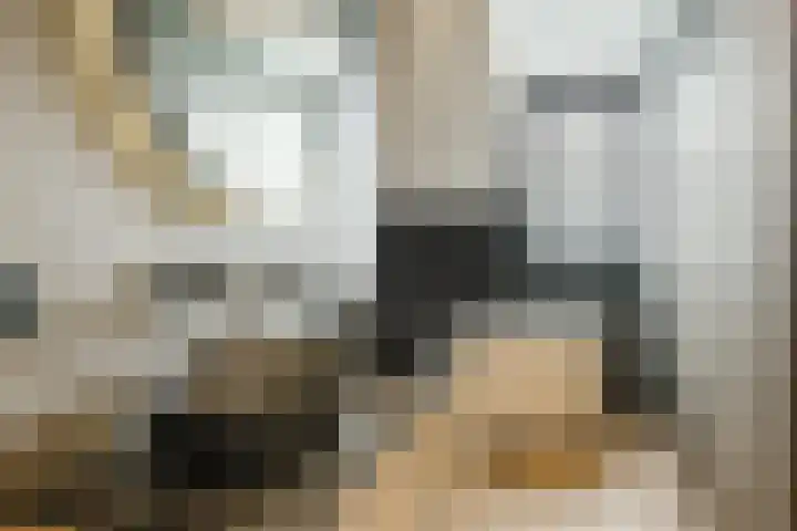 Molenpad 31 Steensel thumbnail 22