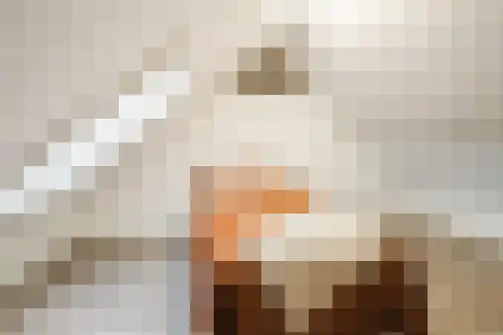 Molenpad 31 Steensel thumbnail 24