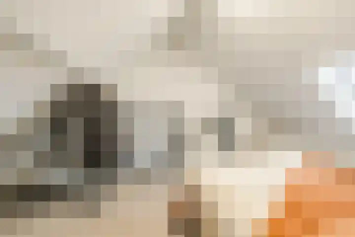 Molenpad 31 Steensel thumbnail 25