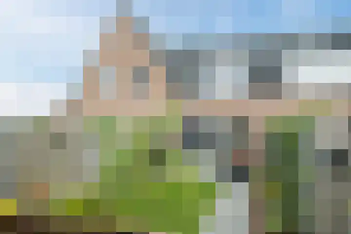 Molenpad 31 Steensel thumbnail 28
