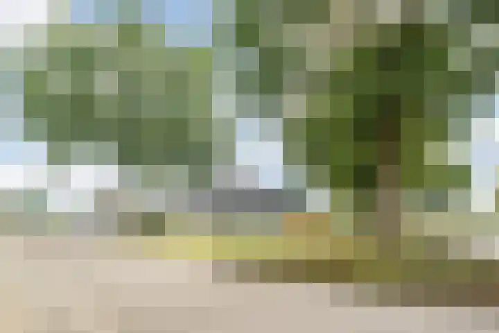 Molenpad 31 Steensel thumbnail 30