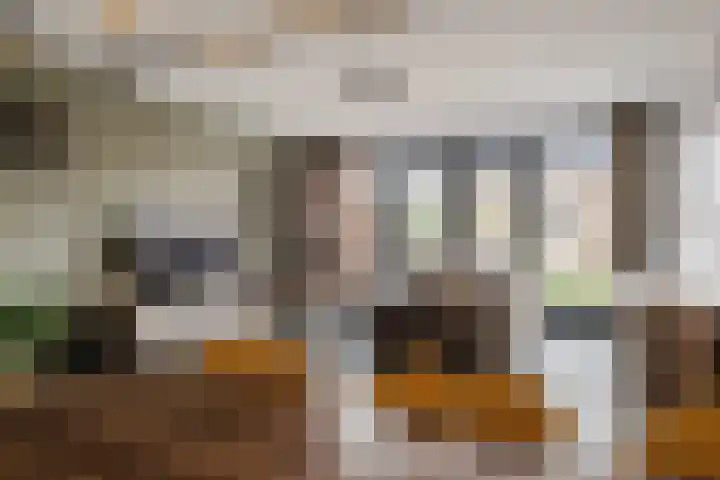 Molenpad 31 Steensel thumbnail 5