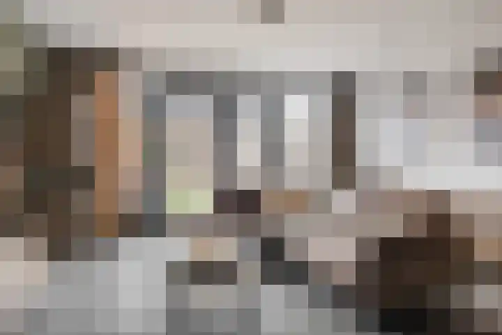 Molenpad 31 Steensel thumbnail 6