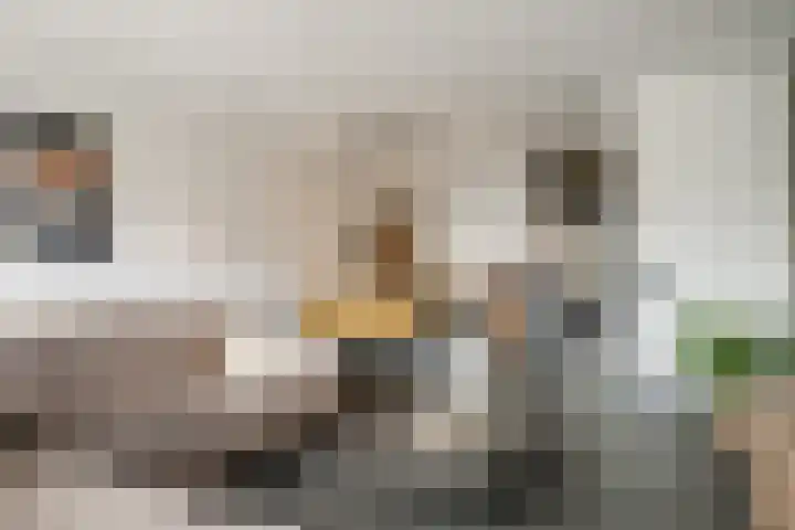 Molenpad 31 Steensel thumbnail 7