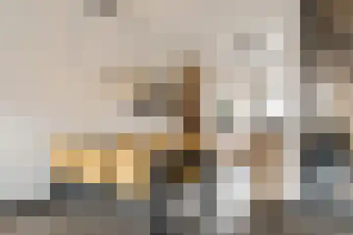 Molenpad 31 Steensel thumbnail 8