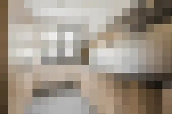 Molenpad 31 Steensel thumbnail 9
