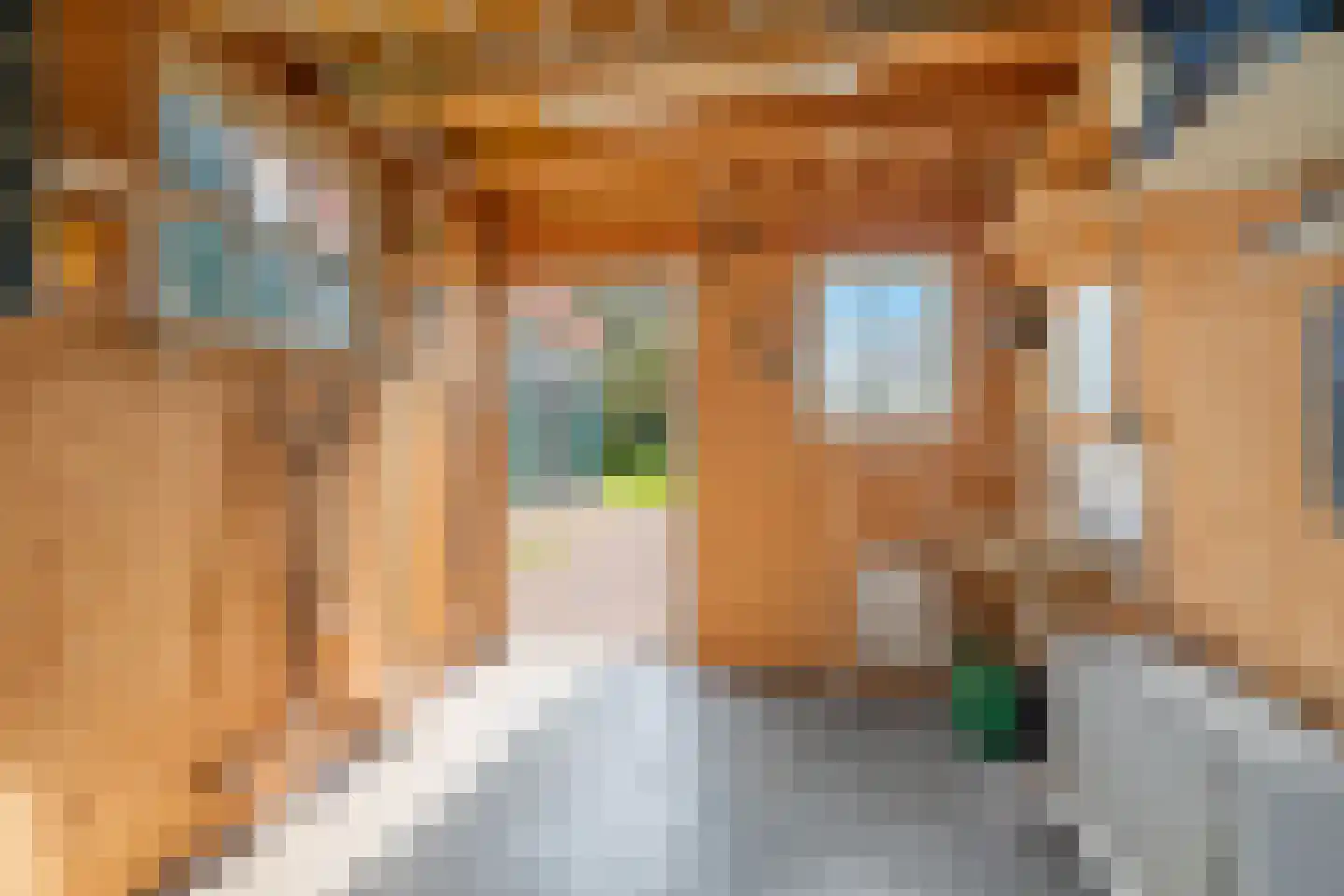Molenpad 40 Jisp thumbnail 20