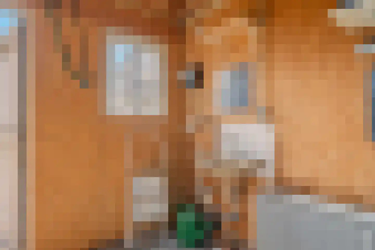 Molenpad 40 Jisp thumbnail 22