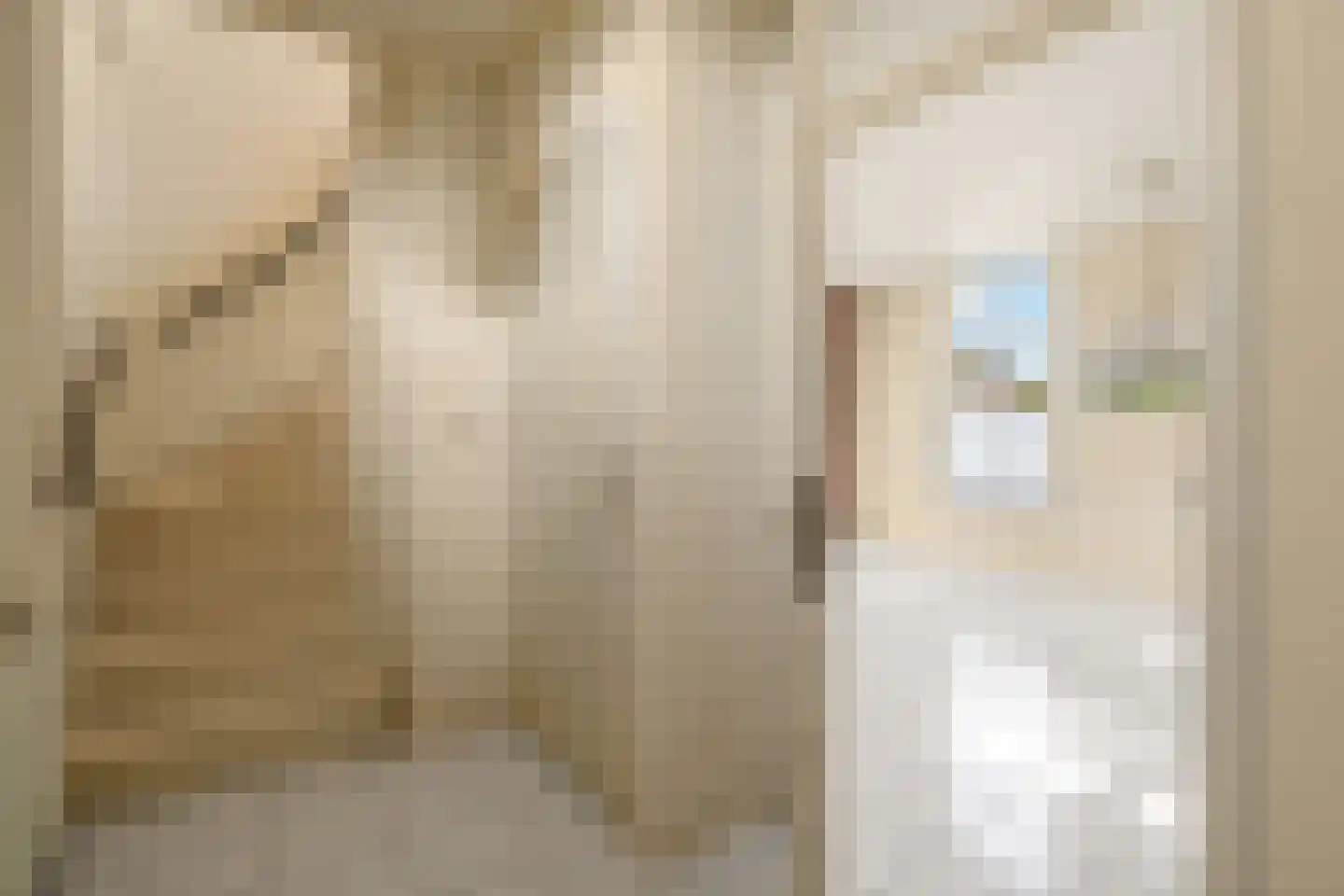 Molenpad 40 Jisp thumbnail 23