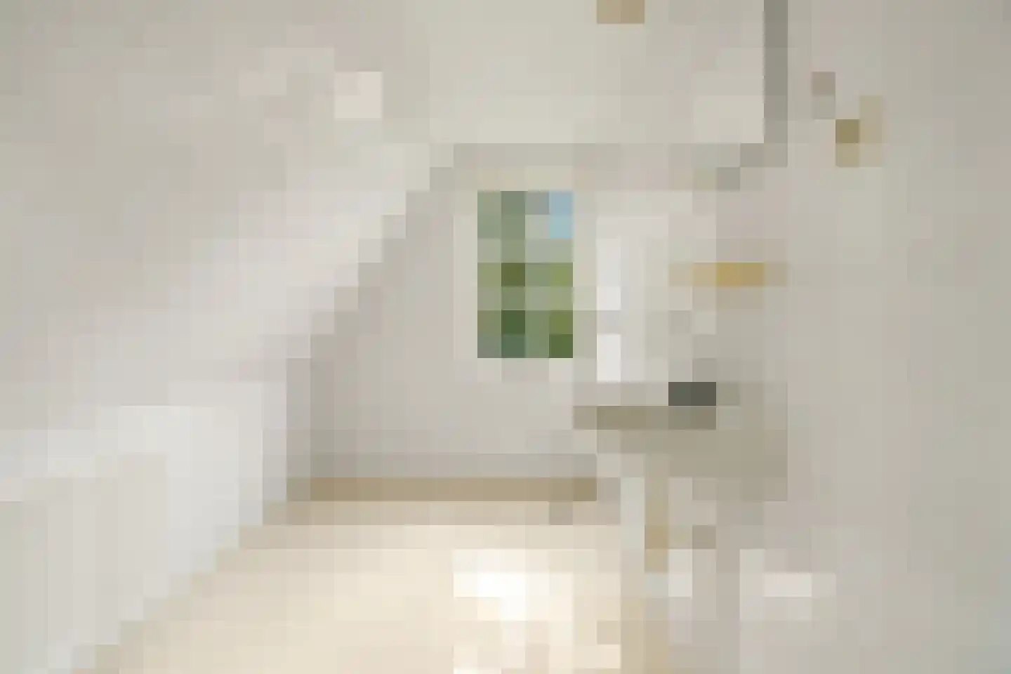 Molenpad 40 Jisp thumbnail 32