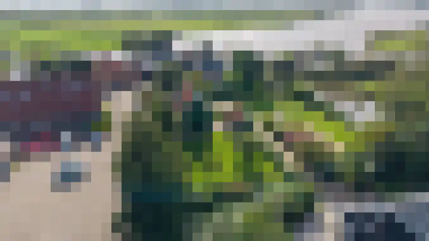 Molenpad 40 Jisp thumbnail 44