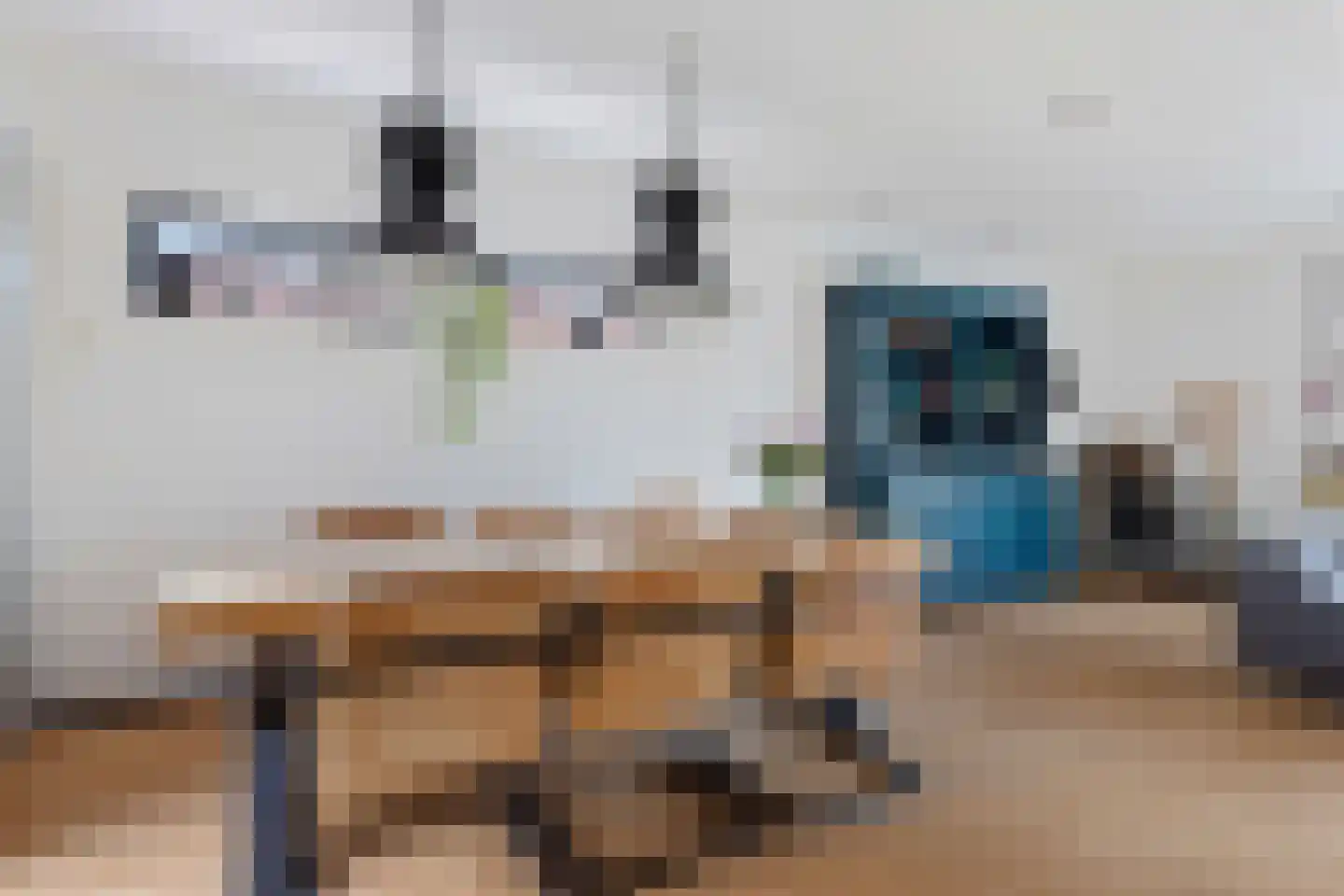 Molenpad 5 a Akersloot thumbnail 18