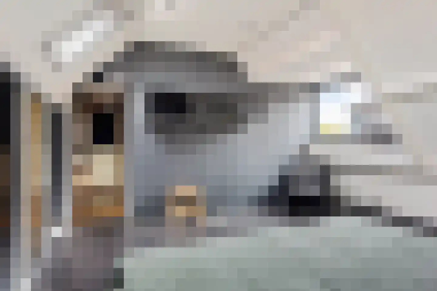 Molenpad 5 a Akersloot thumbnail 28