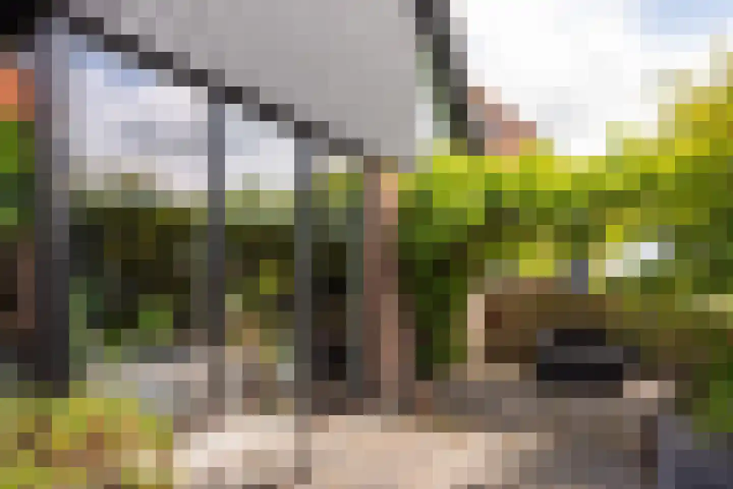 Molenpad 5 a Akersloot thumbnail 43