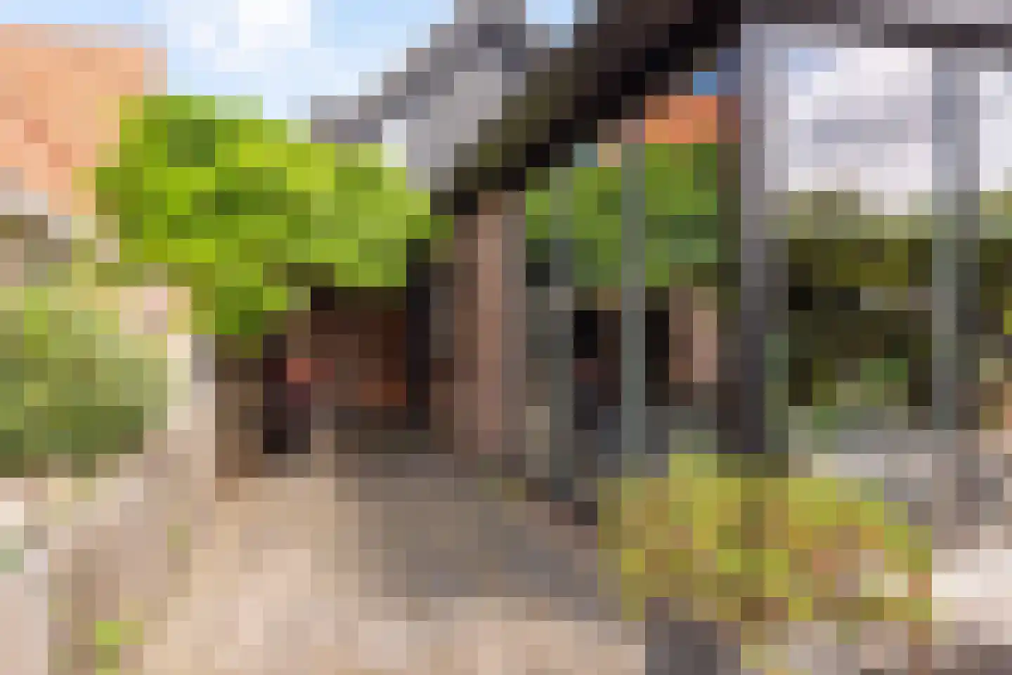 Molenpad 5 a Akersloot thumbnail 44