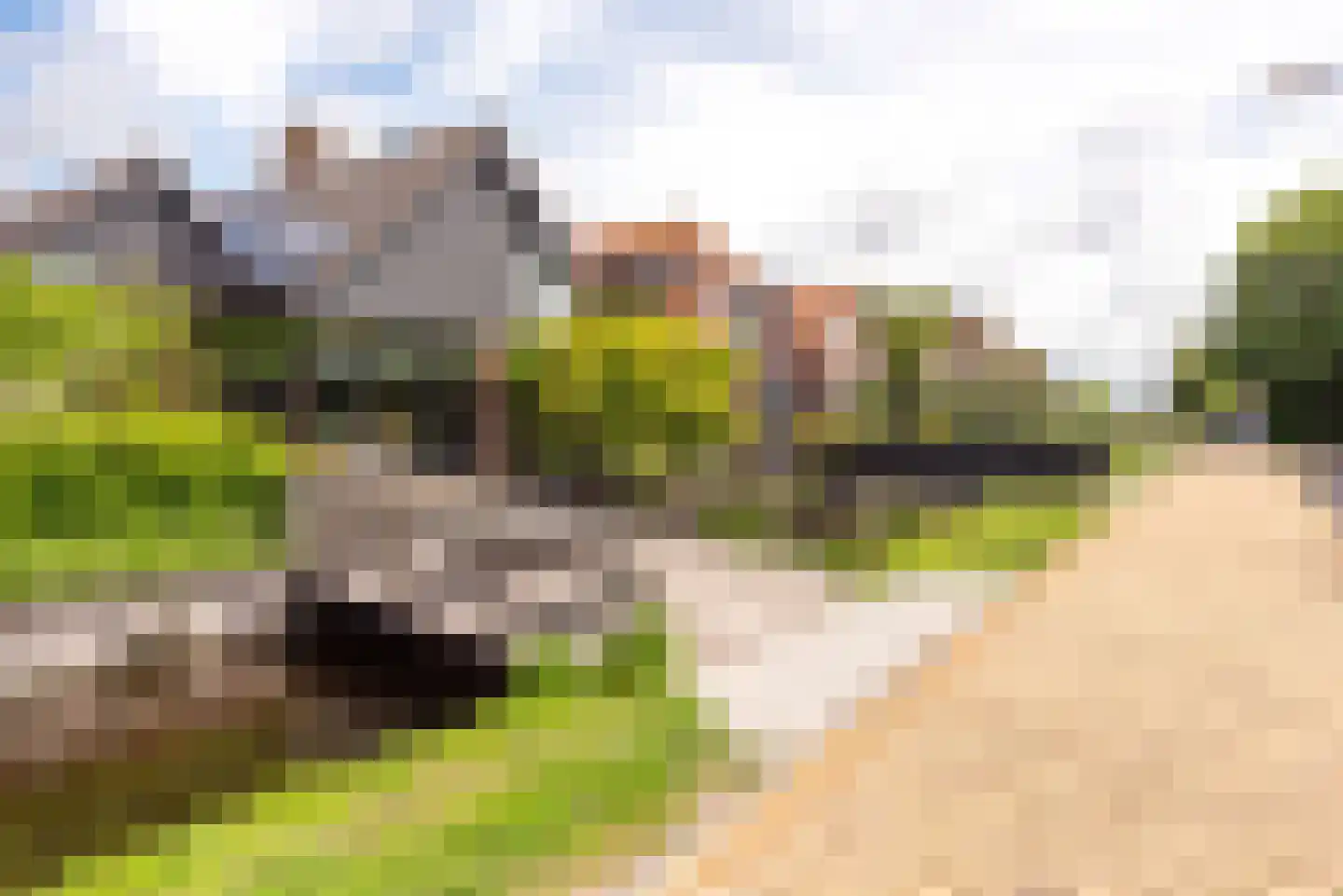 Molenpad 5 a Akersloot thumbnail 46