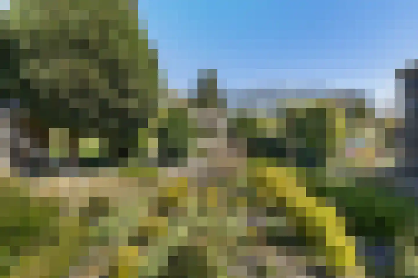 Molenpad 5 Scheemda thumbnail 19