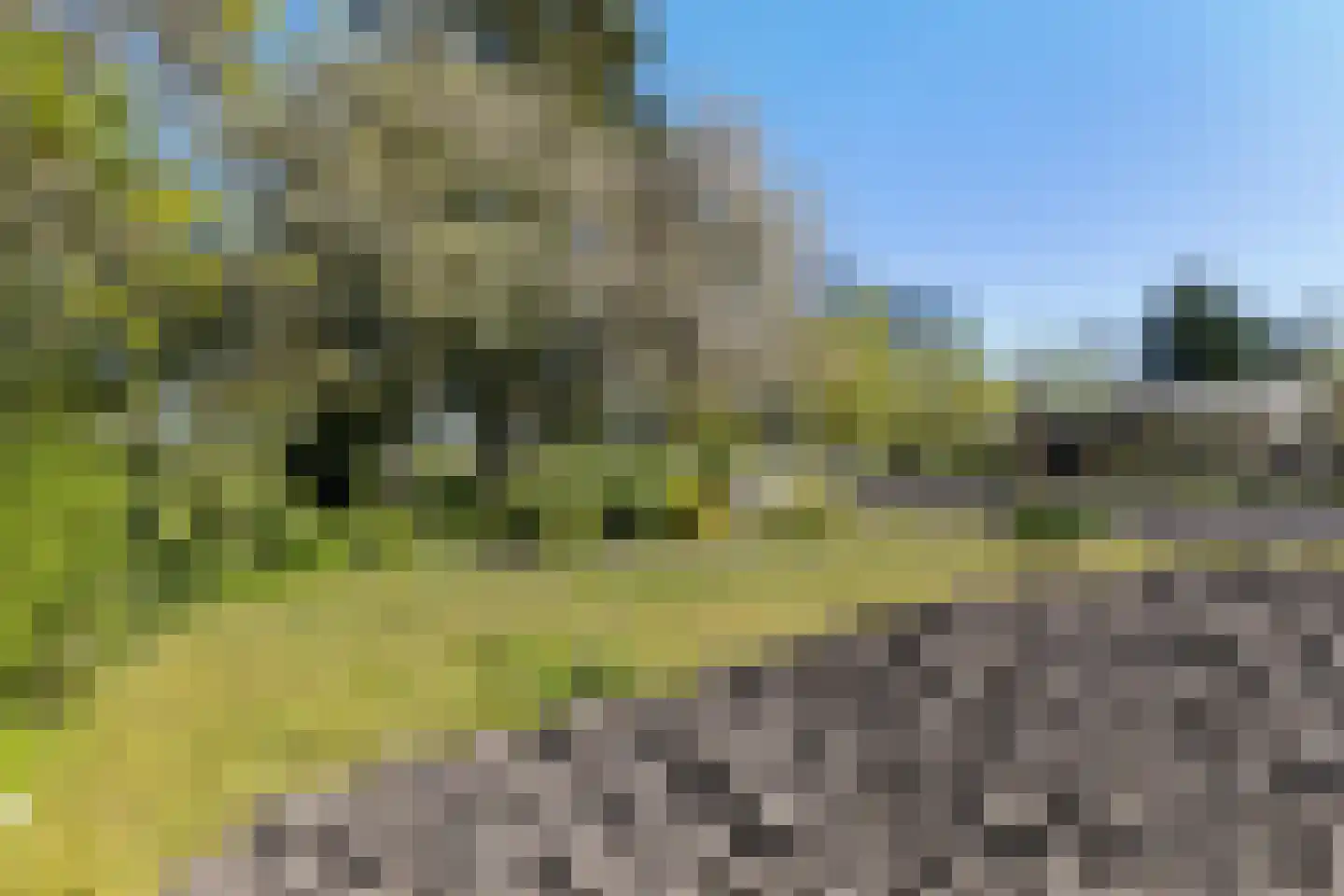 Molenpad 5 Scheemda thumbnail 21
