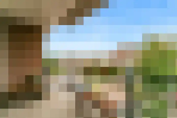 Molenpad 51 Aalsmeer thumbnail 20