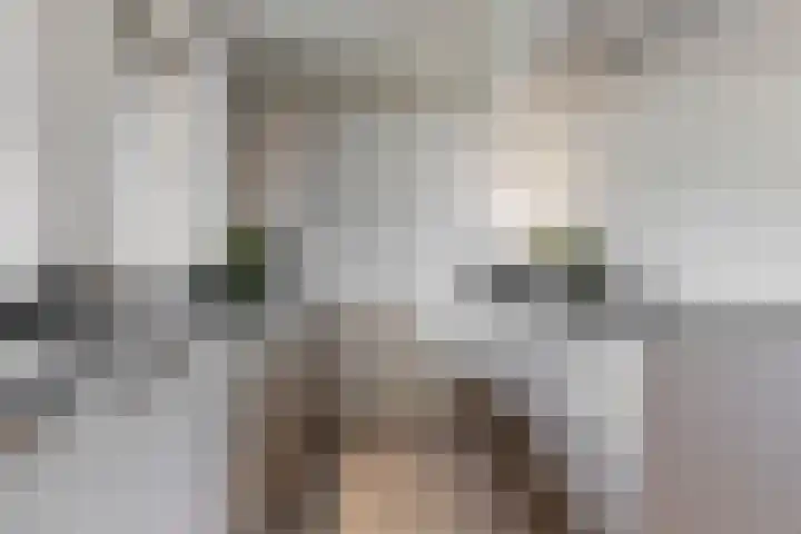 Molenpad 51 Aalsmeer thumbnail 5