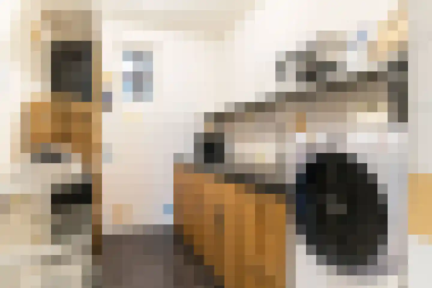 Molenpad 67 Aalsmeer thumbnail 33