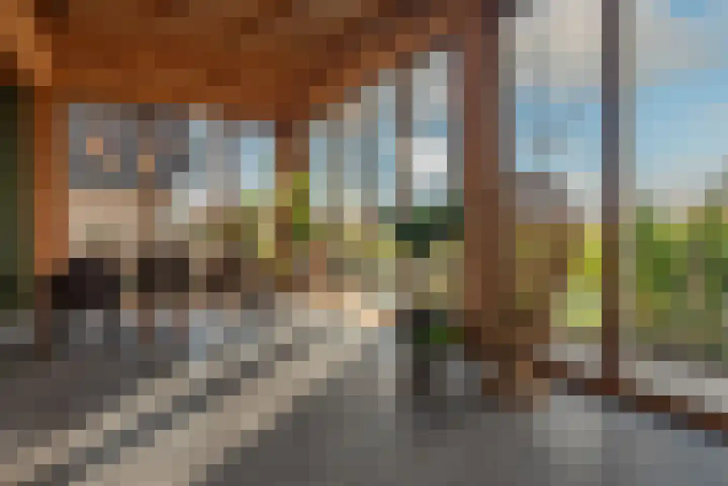 Molenpad 7 Kamperland thumbnail 14