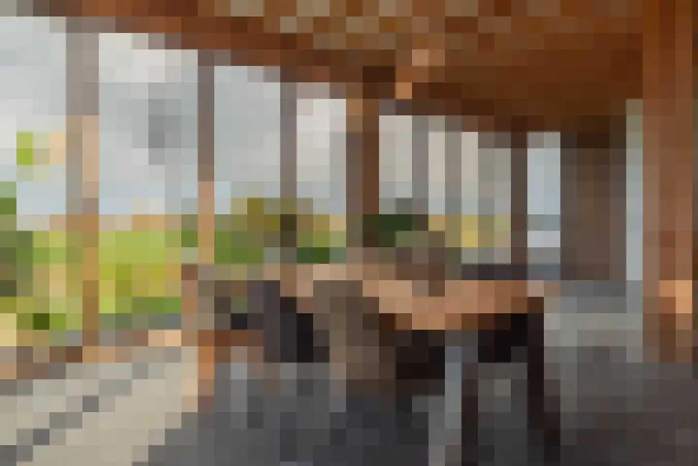 Molenpad 7 Kamperland thumbnail 16