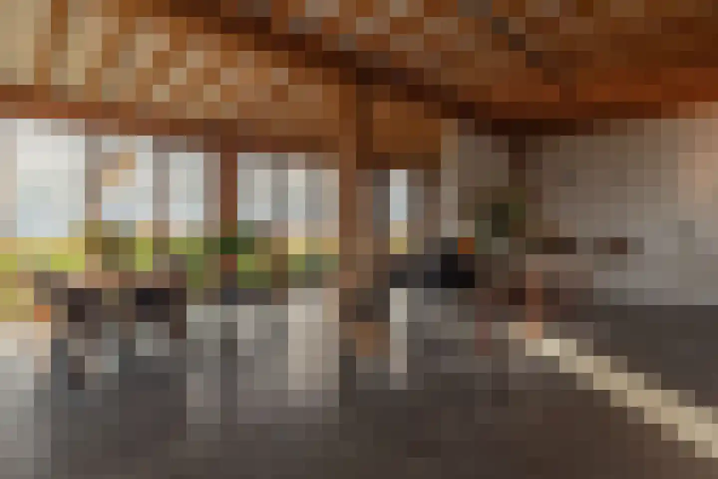 Molenpad 7 Kamperland thumbnail 17
