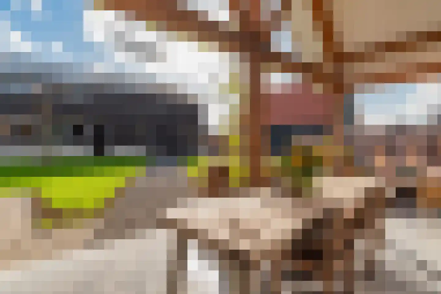 Molenpad 7 Kamperland thumbnail 39