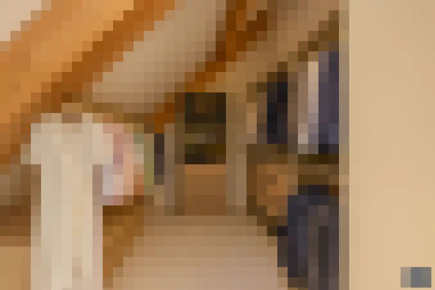 Molenpad 7 Kamperland thumbnail 41
