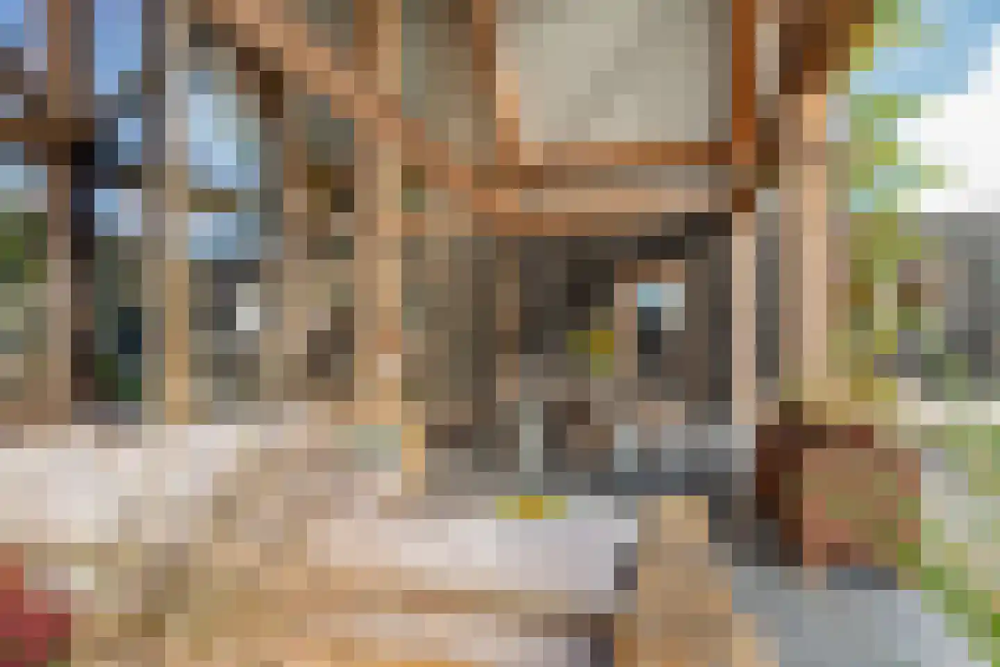 Molenpad 7 Kamperland thumbnail 41